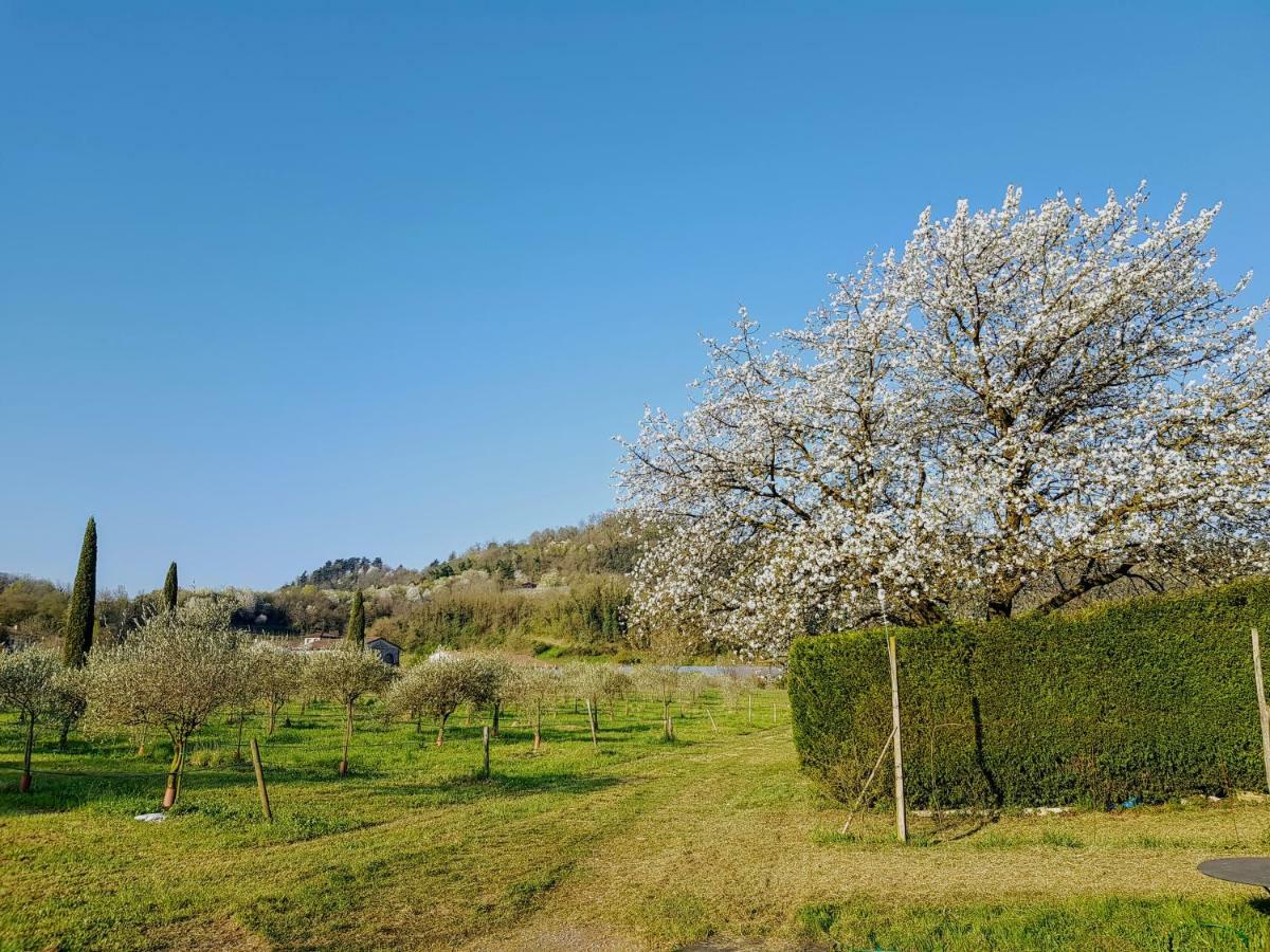 Agriturismo San Michele Vicenza Zewnętrze zdjęcie